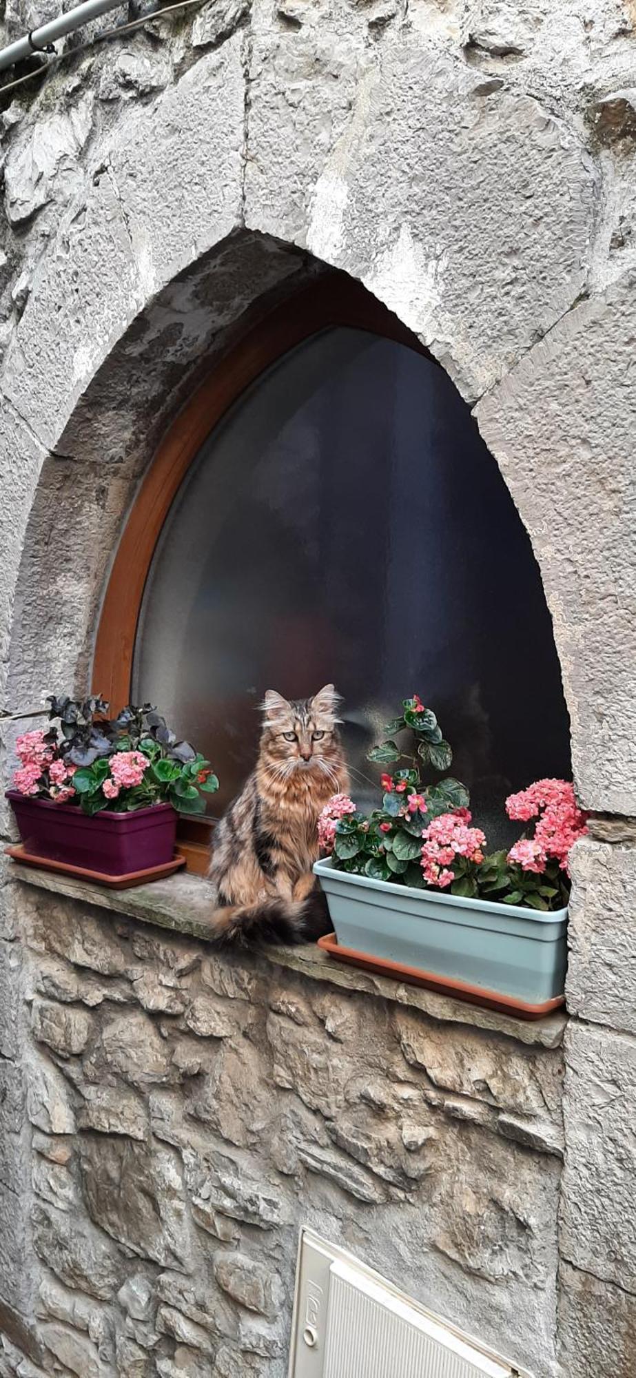 Gite Des Remparts Luceram Bagian luar foto